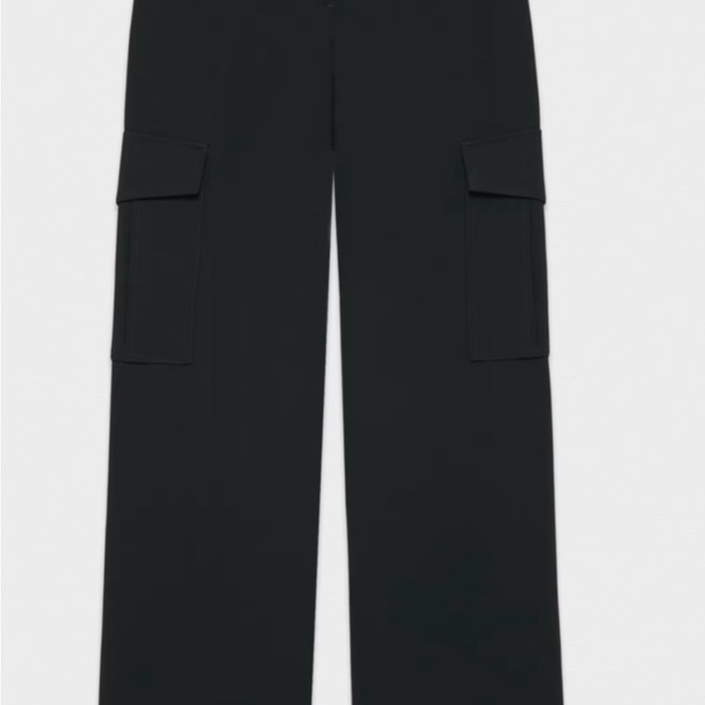 Aritzia Bridger Cargo pant